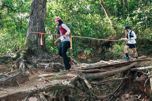 BIB: 
                            <button type="button" onclick="openModal(27555752)" class="btn btn-primary btn-sm float-right btn-popup" data-toggle="modal" data-target=".modal-high-quality">
                        <i class="fas fa-shopping-cart"></i> Add to Cart
                    </button>
                                            <button type="button" onclick="isThisMe(27555752, true)" class="btn btn-success btn-sm float-right btn-popup btn-isme hidden" data-toggle="tooltip" data-placement="bottom" title="นี่คือรูปของคุณใช่ไหม คลิกที่นี่เพื่อเอาเข้าอัลบั้ม">
                        <i class="fas fa-plus"></i> Add to album
                    </button>
                    <button type="button" onclick="isThisMe(27555752, false)" class="btn btn-warning btn-sm float-right btn-popup btn-isnotme hidden">
                        <i class="fas fa-ban"></i> Remove from album
                    </button>